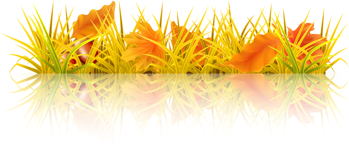 Beautiful autumn elements vector set 02