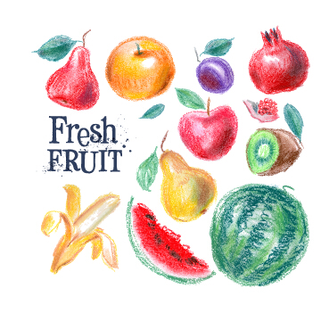 material fruits drawn colored 