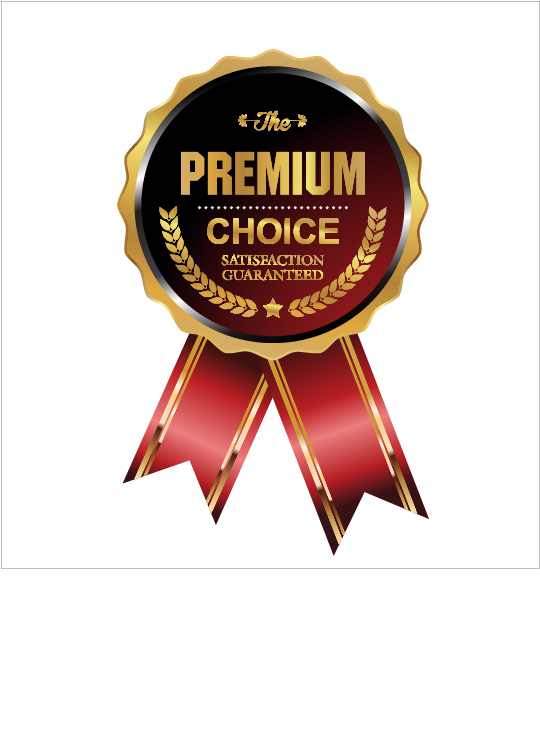 Luxury golden badge with red ribbon vector 08