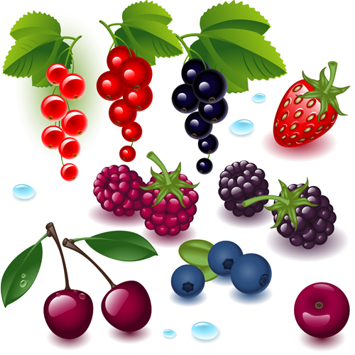 realistic fruits fruit Berry 