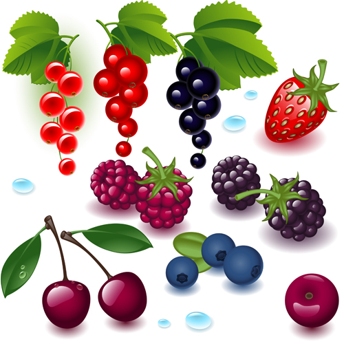 ic fruits and berry design vector 01 Realistic fruits and berry design vector 01
