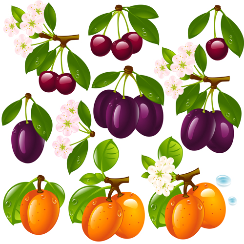 ic fruits and berry design vector 03 Realistic fruits and berry design vector 03