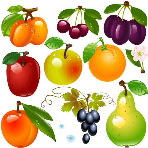 ic fruits and berry design vector 04 Realistic fruits and berry design vector 04
