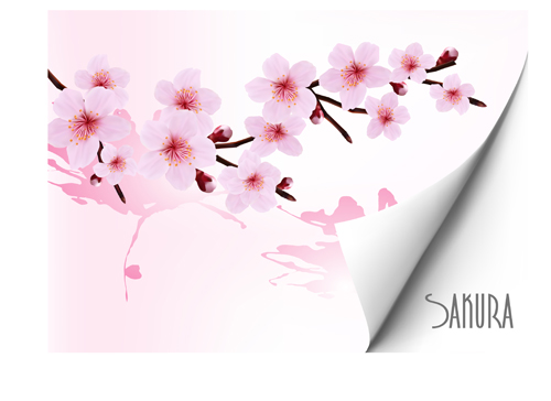 Spring pink flower vector background graphics 01
