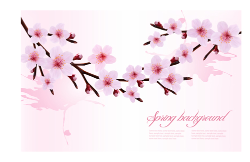 vector background spring pink flower 