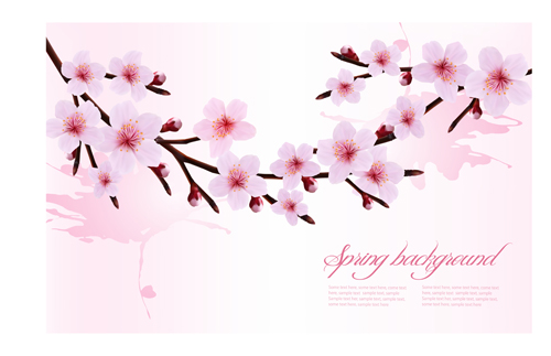 Spring pink flower vector background graphics 02