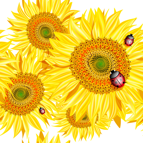 vector sunflower ladybird free flower design 