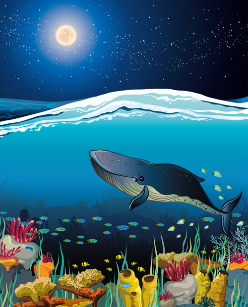 Charming night vector background 06