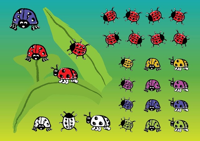 Ladybugs Vector