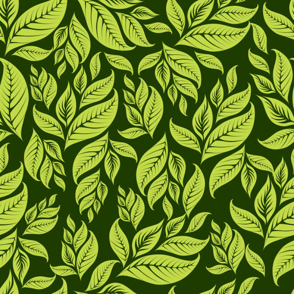 vector leaf background Green Leaf 