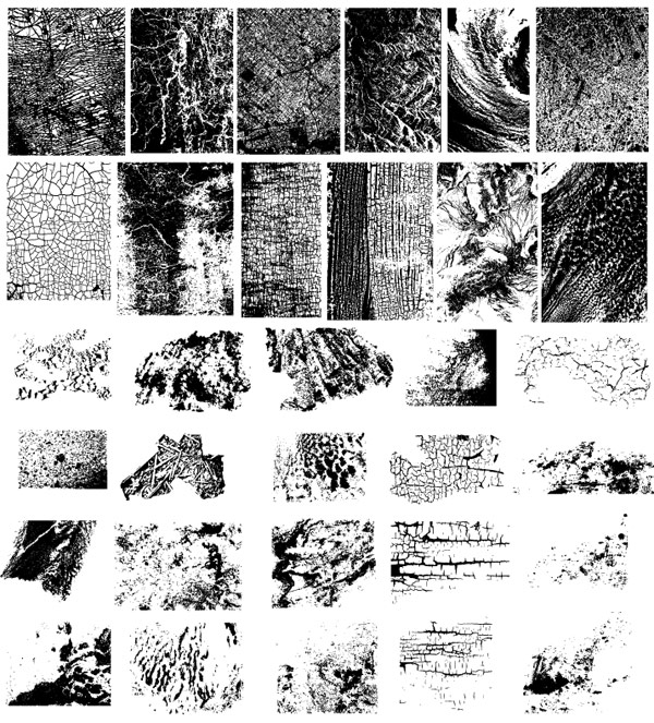 Gomedia product texture Vector