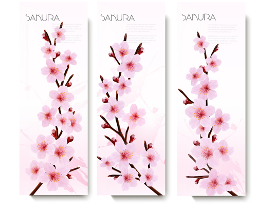 Beautiful pink flowers vector banner 01
