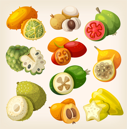 Different fruits design vectors set