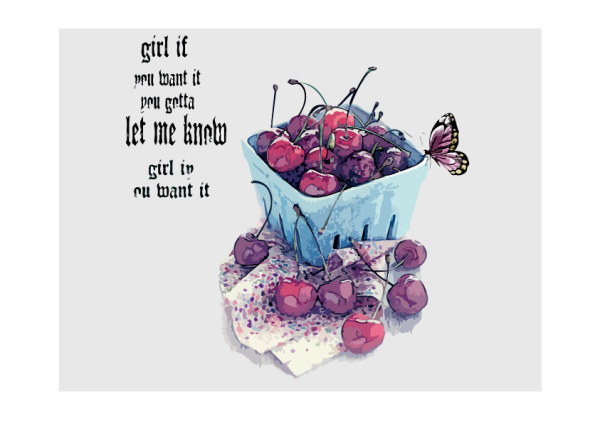 Hand drawn cherries and butterflies vector
