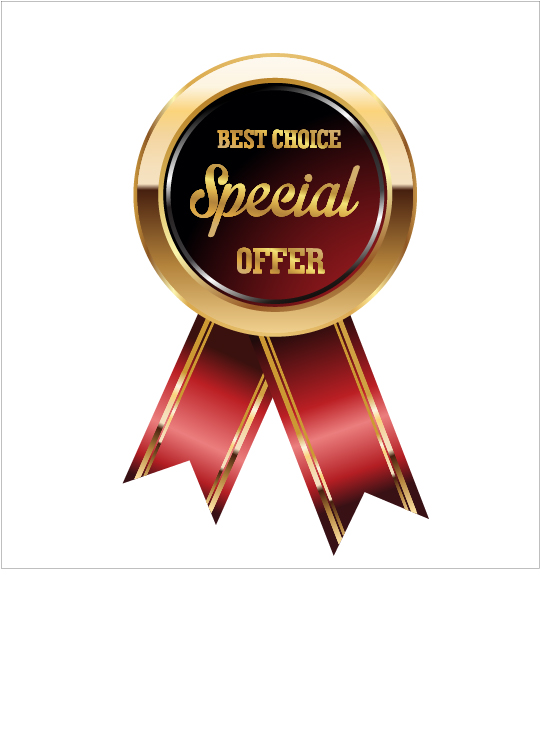 Luxury golden badge with red ribbon vector 01