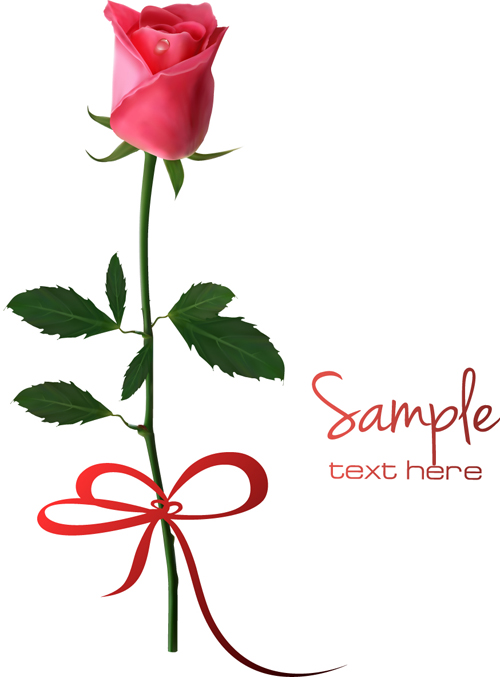 Set of Pretty rose elements vector 02