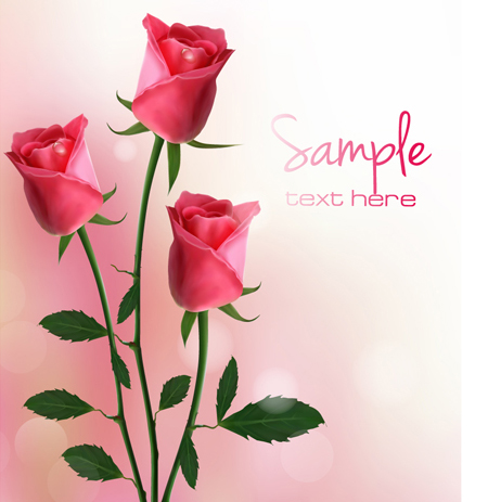 Set of Pretty rose elements vector 03