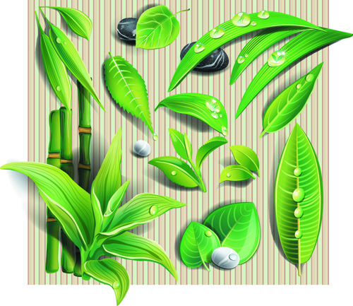 Set of Different Spa design elements vector art 01