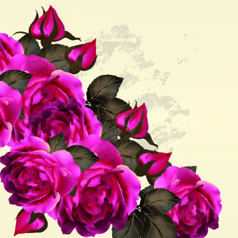 Vintage Purple Roses vector set 03