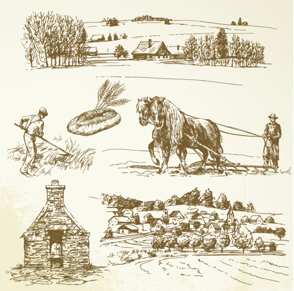 Hand drawing farm design elements vector 02