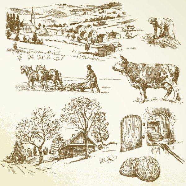 Hand drawing farm design elements vector 03
