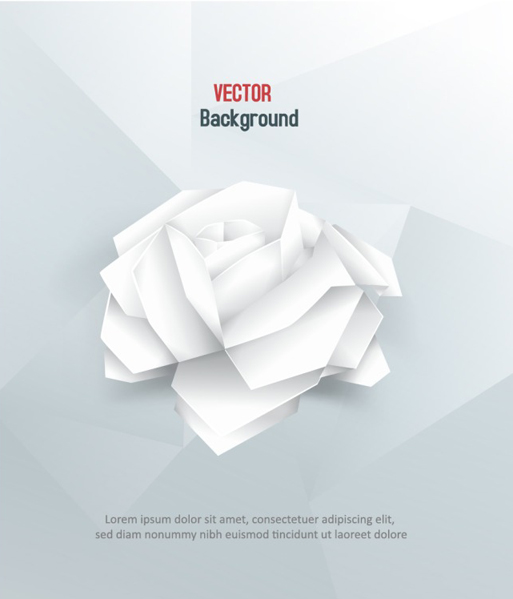 White paper rose vector background