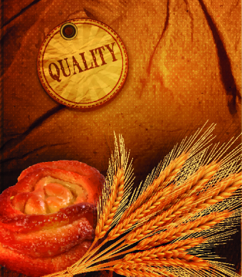 Food creative vector background 01