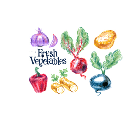 Hand drawn fresh vegetables colored vector 01
