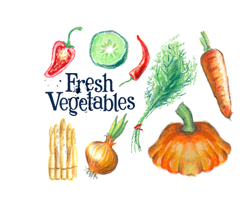 vegetables hand drawn fresh colored 