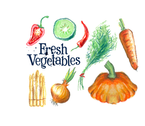 Hand drawn fresh vegetables colored vector 02