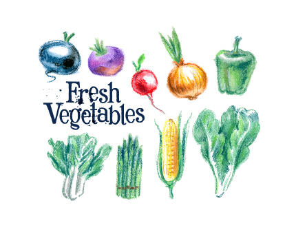 Hand drawn fresh vegetables colored vector 03