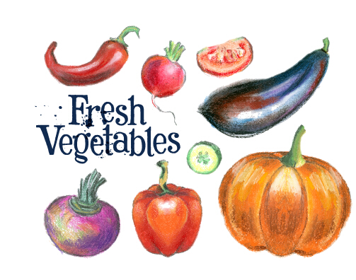 vegetables hand drawn fresh colored 