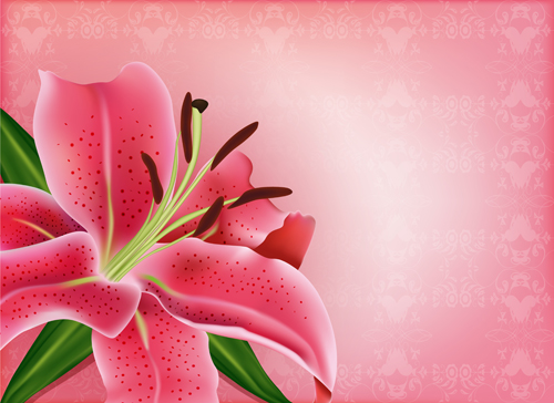 beautiful flower vector graphics 03 Huge collection of beautiful flower vector graphics 03