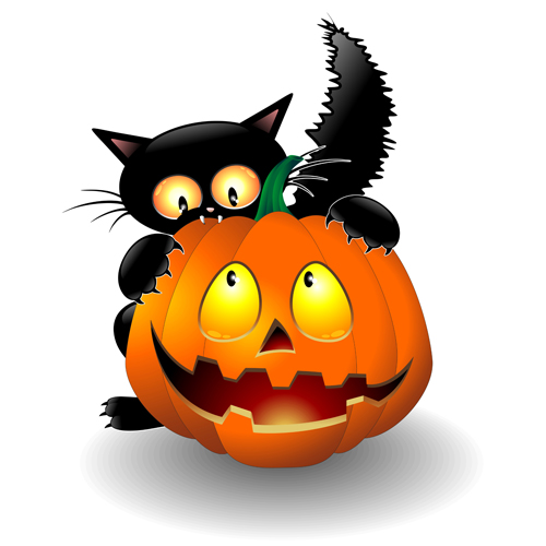 Spook pumpkin halloween cat 