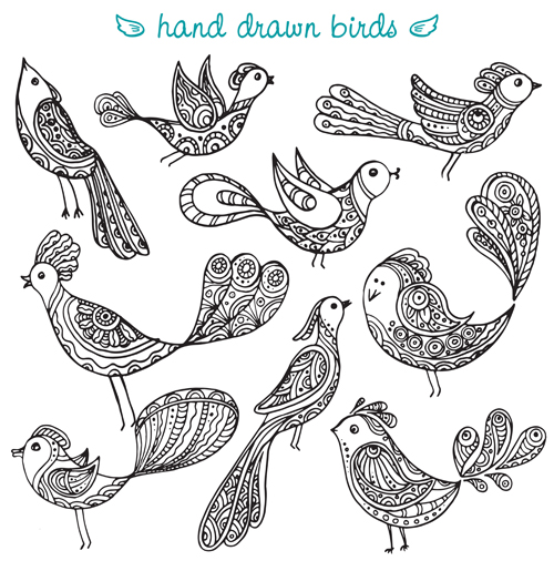 hand drawn birds 