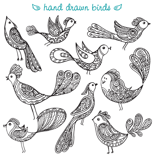 Hand drawn birds vector set Hand drawn birds vector set