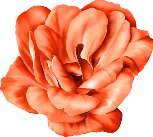 Realistic flowers beautiful vector set 06