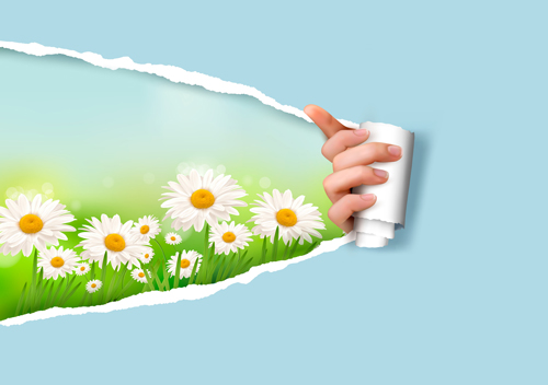 Shiny Summer background vector 06