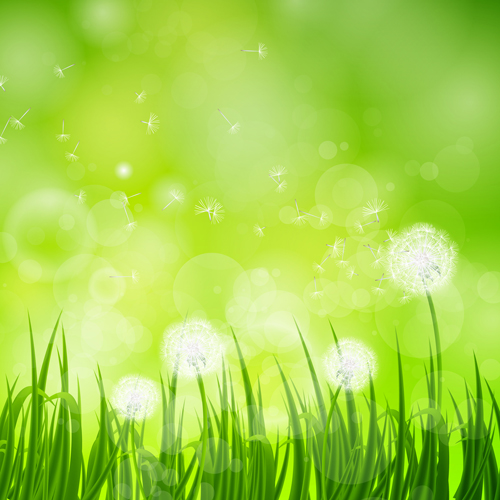 Shiny Summer background vector 07