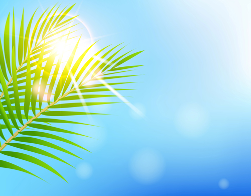 Shiny Summer background vector 09