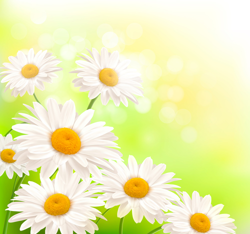 Shiny Summer background vector 10