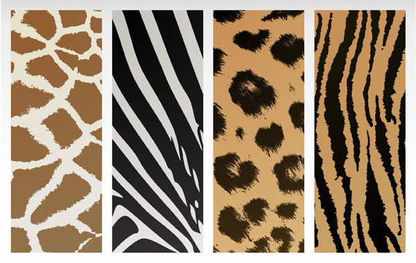 zebra tiger texture shading leopard background animal fur 