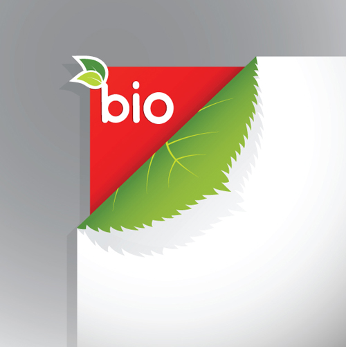 Corner template bio design vector 04