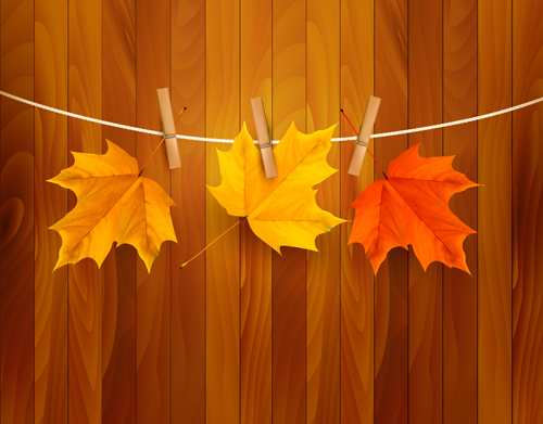 leaves background beautiful background vector background autumn leaves 
