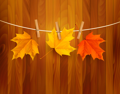 Beautiful Autumn leaves background vector 01
