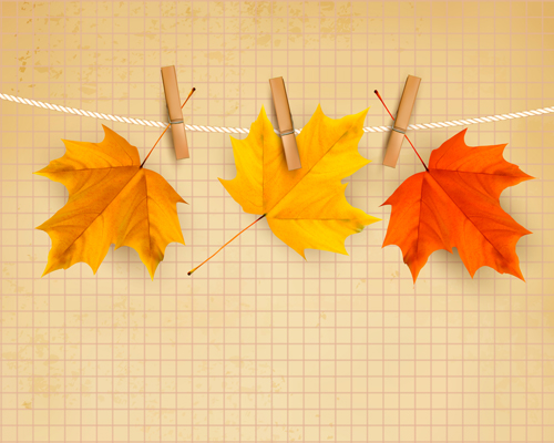 leaves background leave beautiful background vector background autumn leaves 