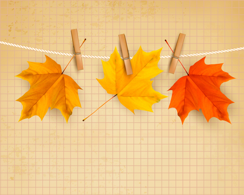 Beautiful Autumn leaves background vector 02