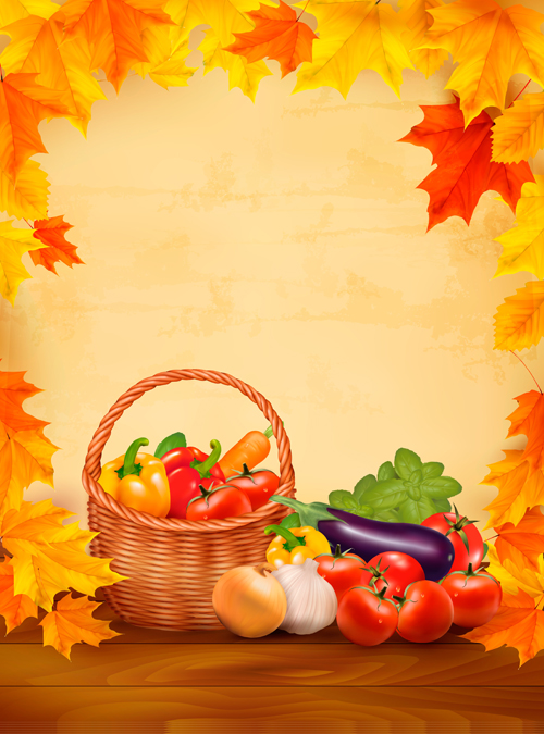 leaves background leave beautiful background vector background autumn leaves 