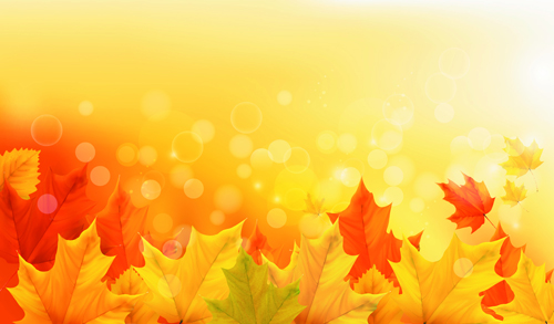 leaves background leave background vector background autumn leaves 