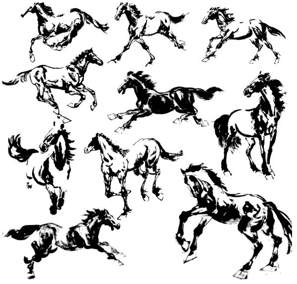 Vectors horse hand-draw hand drawn 